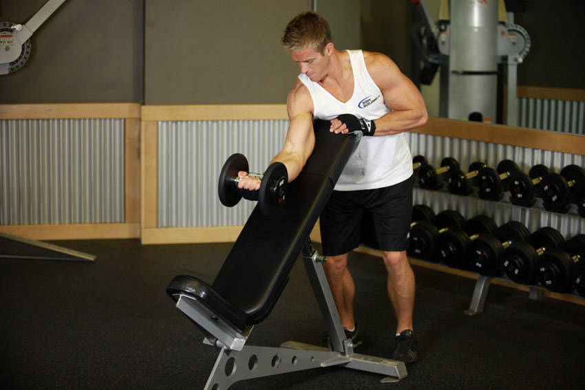 Standing One-Arm Dumbbell Curl Over Incline Bench demonstration