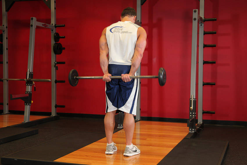 Standing Palms-Up Barbell Behind The Back Wrist Curl demonstration