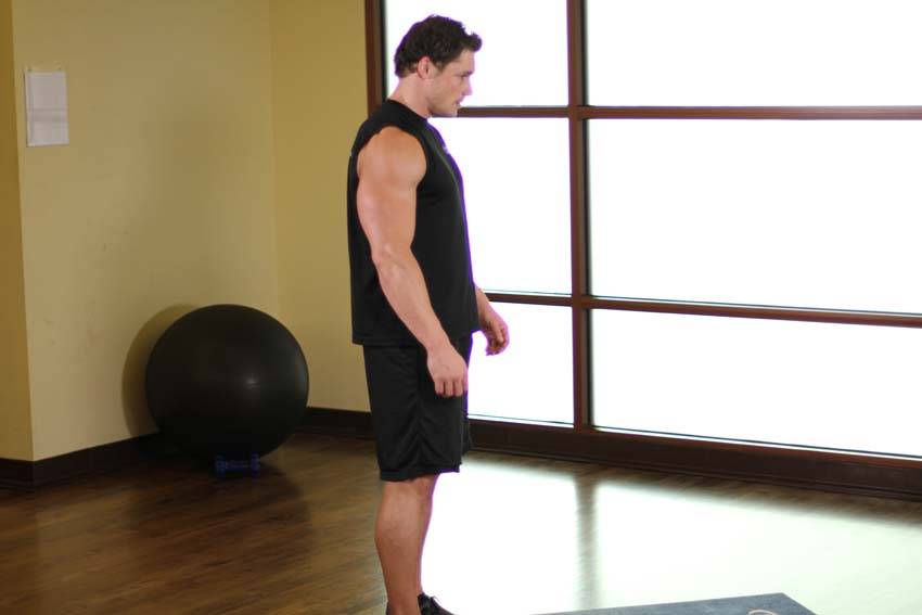Standing Toe Touches demonstration