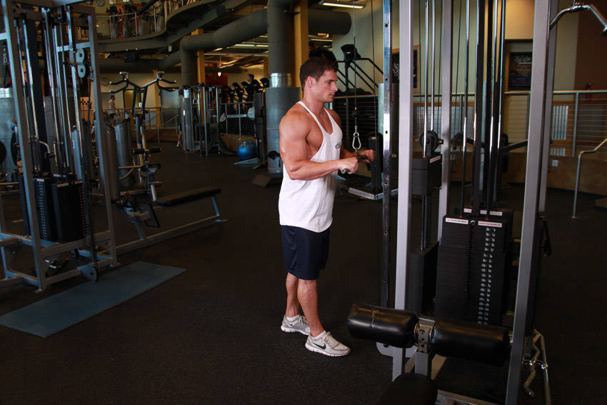 Triceps Pushdown demonstration