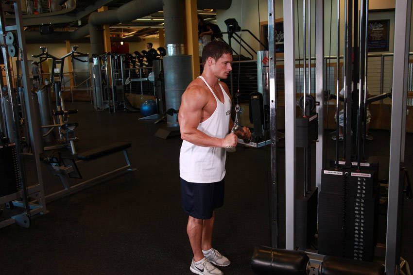 Triceps Pushdown - V-Bar Attachment demonstration