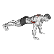 high style scapula push-up demonstration