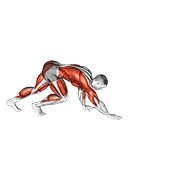 alternating bear crawl demonstration