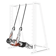 inverted row with straps demonstration