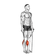 band two legs calf raise - (band under both legs) v. 2 demonstration