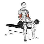 ez barbell seated curls demonstration