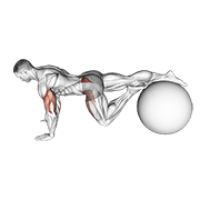 exercise ball one leg prone lower body rotation fierce demonstration