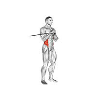 band vertical pallof press - seated variation demonstration