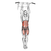 firm style hanging oblique knee raise demonstration