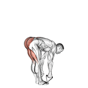 fast band straight leg deadlift demonstration