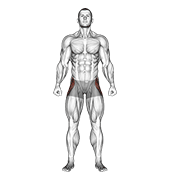straight leg outer hip abductor demonstration