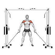 cable front shoulder raise demonstration