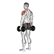 dumbbell rear delt raise demonstration