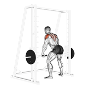 smith rear delt row demonstration