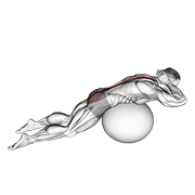 exercise ball back extension with hands behind head demonstration