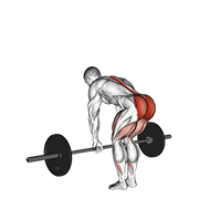 traditional barbell romanian deadlift demonstration