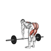 intense barbell straight leg deadlift demonstration