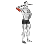 dynamic style band side triceps extension demonstration
