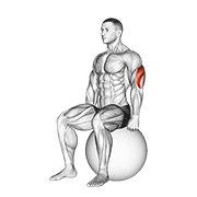 exercise ball seated triceps stretch wide demonstration