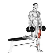 Split Squat with Dumbbells demonstration
