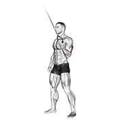 cable standing one arm triceps extension demonstration