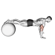 push-up (on stability ball) demonstration