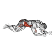intermediate style kneeling plank tap shoulder (male) demonstration