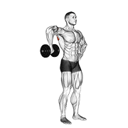 prone dumbbell upright shoulder external rotation demonstration