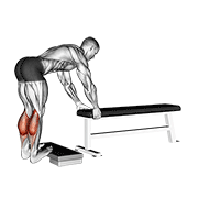 donkey calf raise demonstration