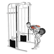 cable two arm tricep kickback demonstration