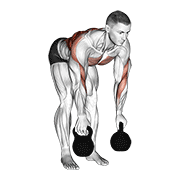 kettlebell two arm row demonstration