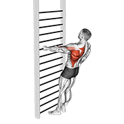 bodyweight standing one arm row demonstration
