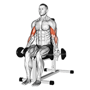 dumbbell seated bicep curl demonstration